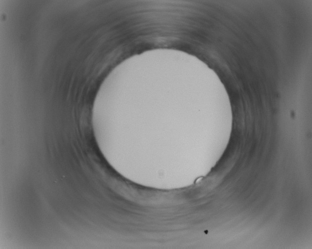 X0000067390044200604281853