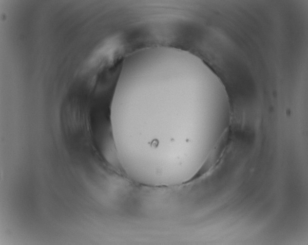 X0000067390045200604281853