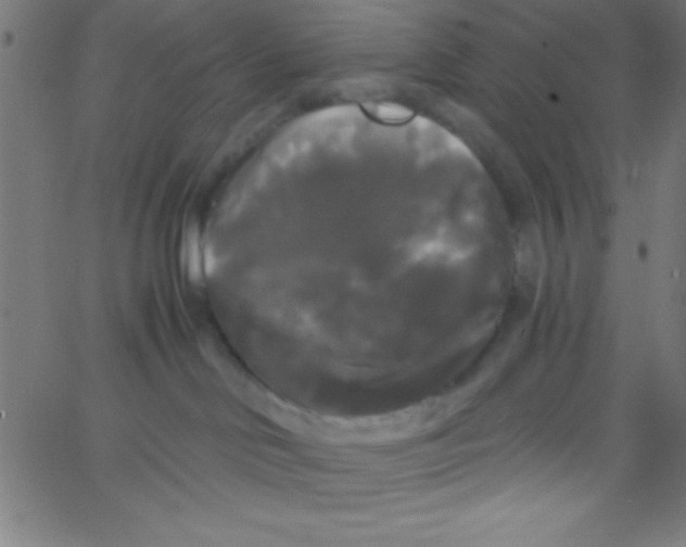 X0000067390046200604281853