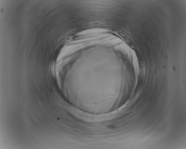 X0000067390047200604281853