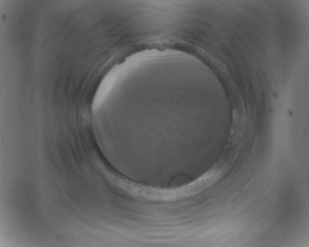 X0000067390048200604281853