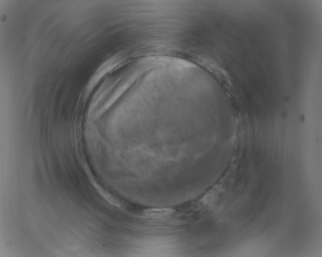 X0000067390051200604281853