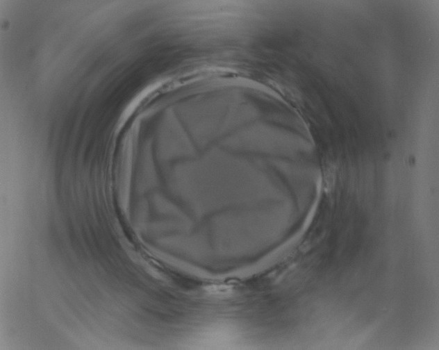 X0000067390052200604281853