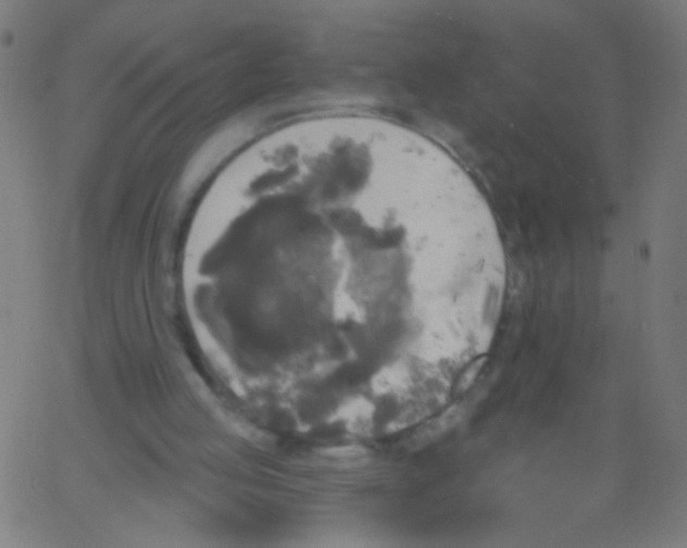 X0000067390053200604281853