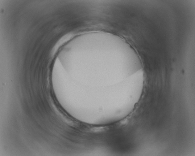 X0000067390054200604281853