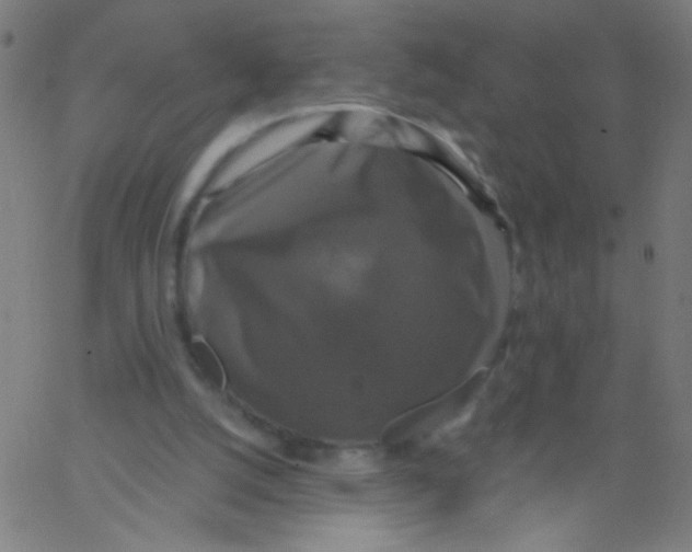 X0000067390056200604281853