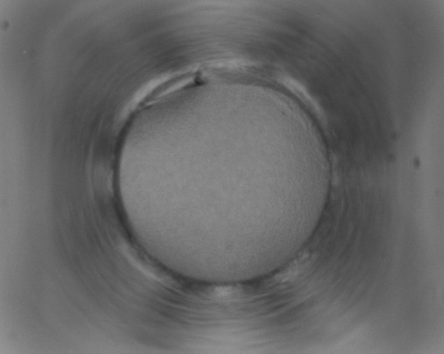 X0000067390060200604281853