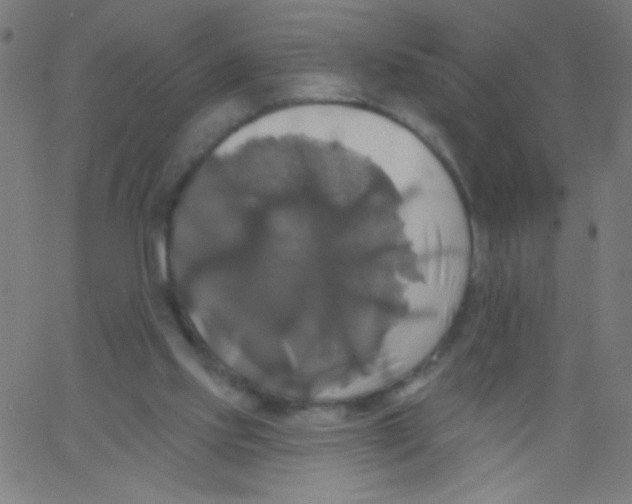 X0000067390061200604281853