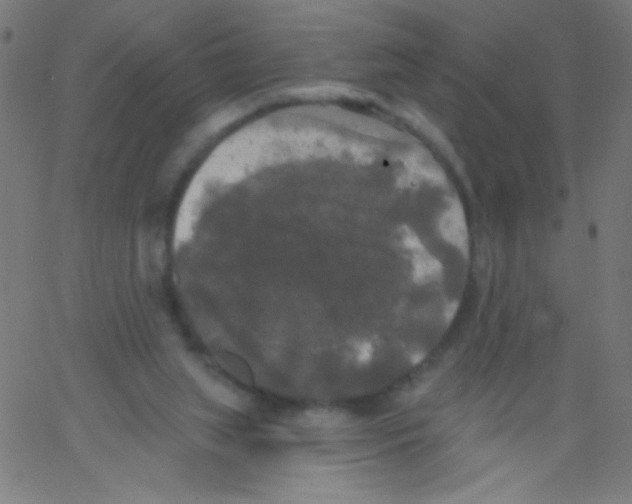 X0000067390063200604281853