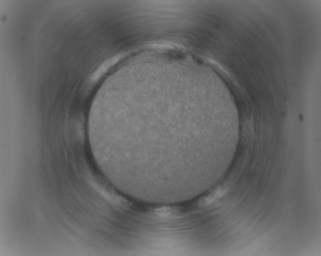 X0000067390064200604281853