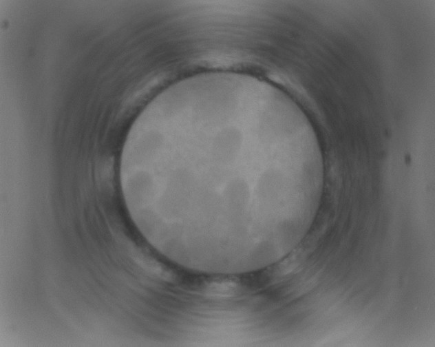 X0000067390066200604281853