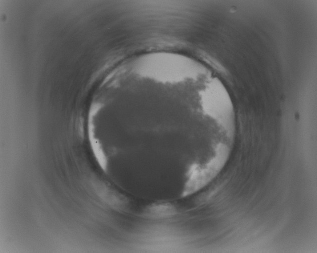 X0000067390067200604281853