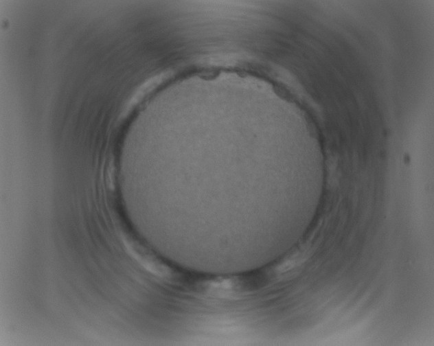 X0000067390068200604281853