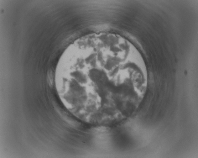 X0000067390069200604281853