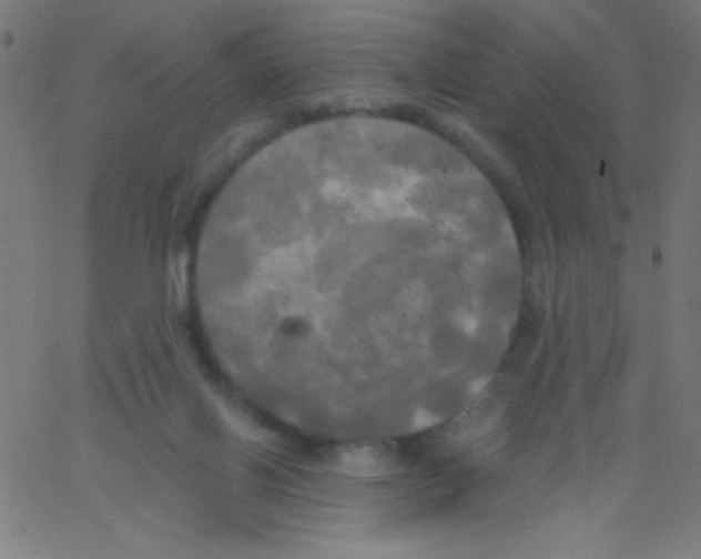 X0000067390070200604281853