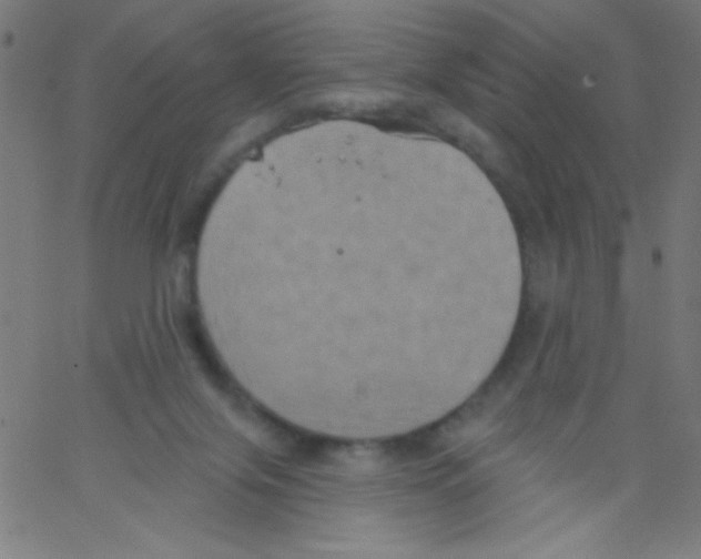 X0000067390071200604281853