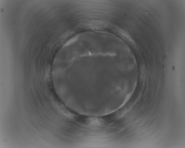 X0000067390073200604281853