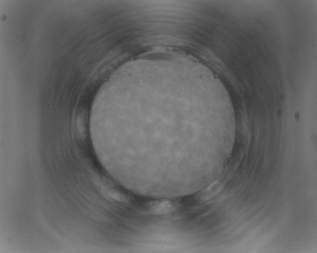 X0000067390074200604281853