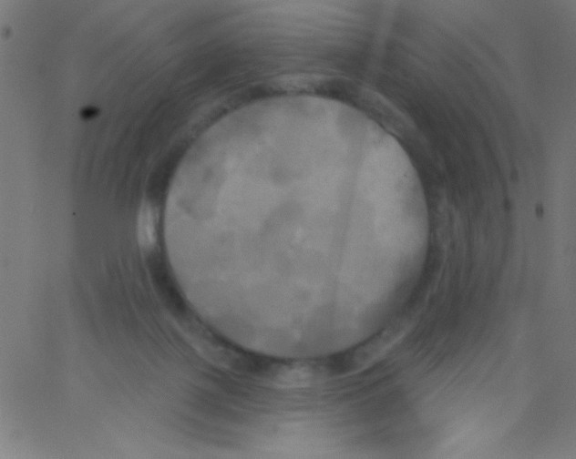 X0000067390075200604281853