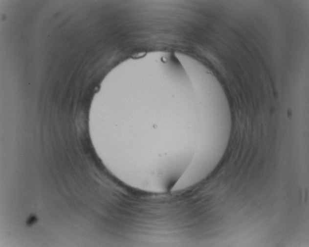 X0000067390077200604281853