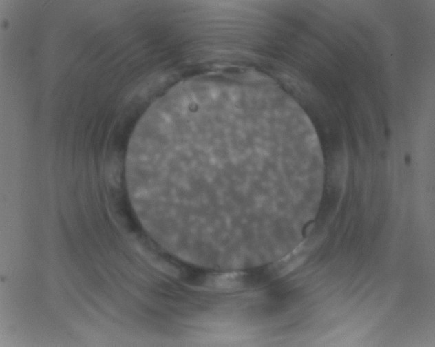 X0000067390078200604281853