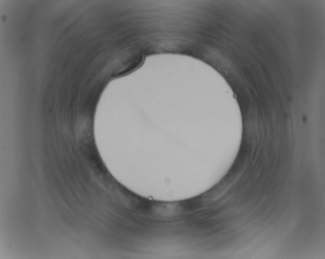 X0000067390079200604281853