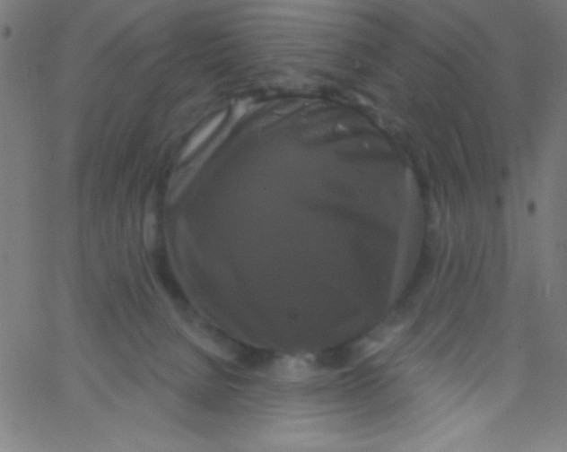 X0000067390080200604281853