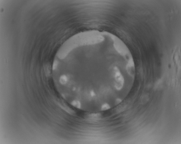 X0000067390081200604281853