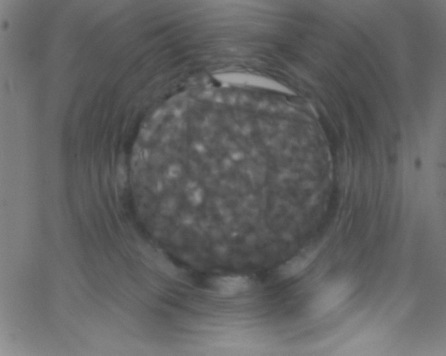 X0000067390085200604281853