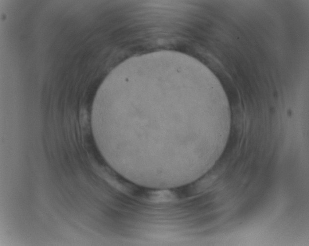 X0000067390087200604281853