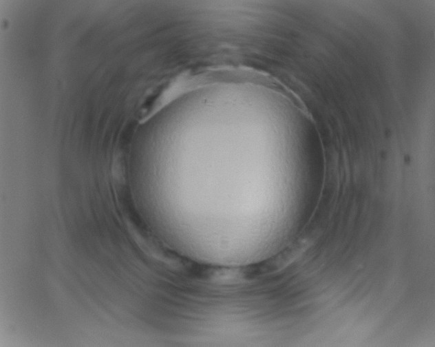 X0000067390088200604281853