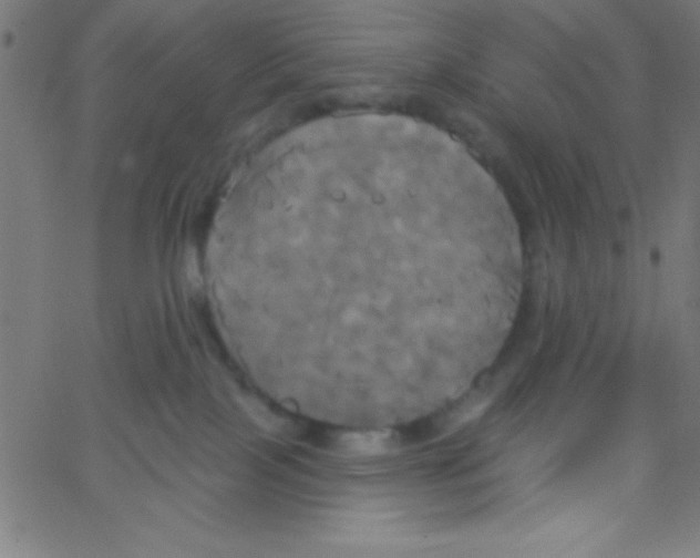 X0000067390089200604281853