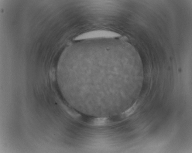 X0000067390090200604281853