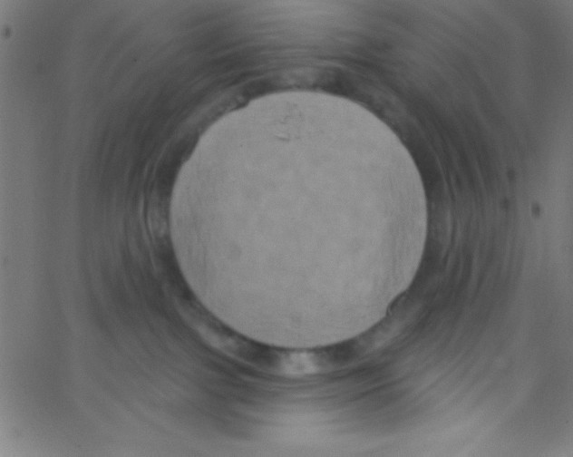 X0000067390091200604281853