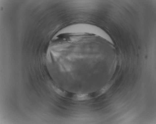 X0000067390093200604281853