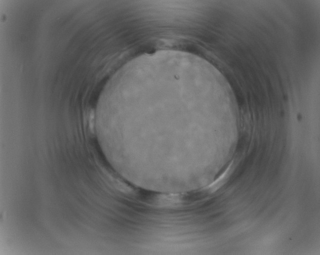 X0000067390094200604281853