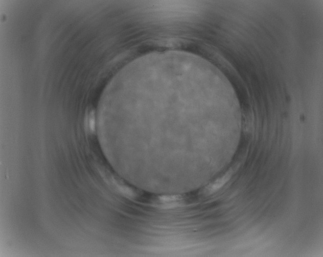 X0000067390095200604281853