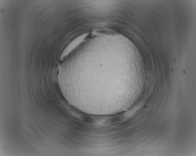 X0000067390096200604281853