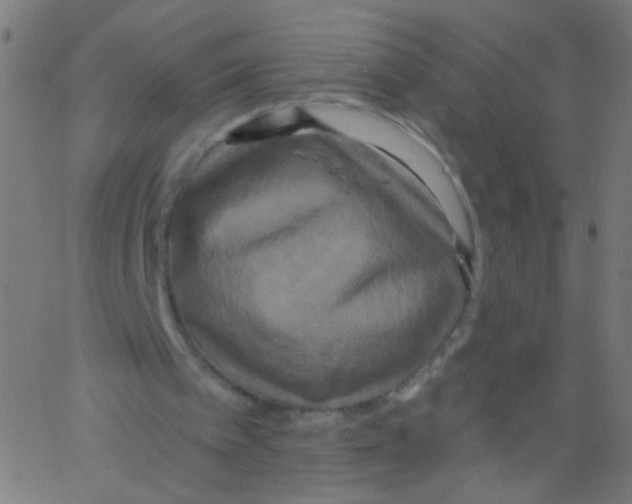 X0000067390097200604281852