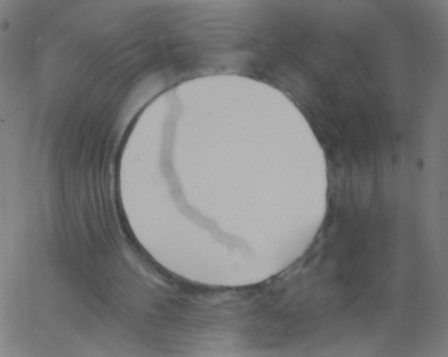 X0000067390100200604281852