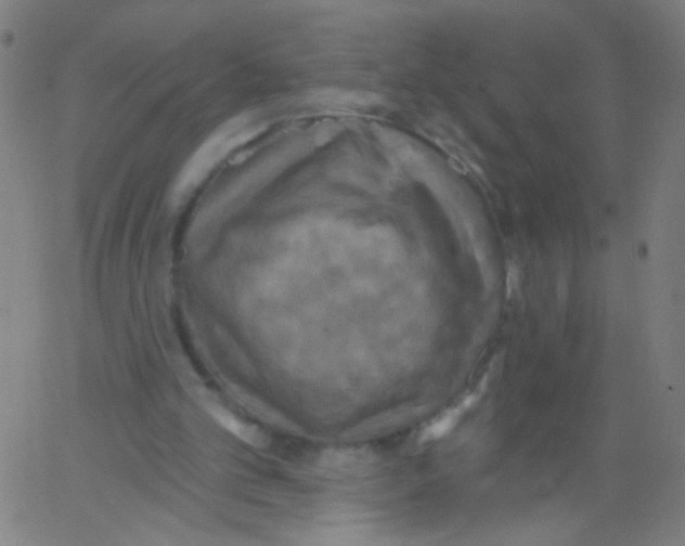 X0000067390101200604281852