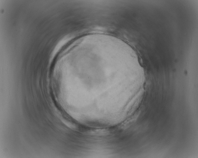 X0000067390102200604281852