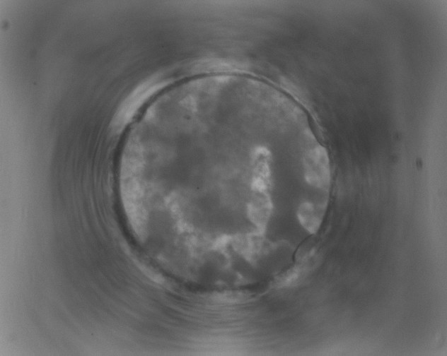 X0000067390103200604281852