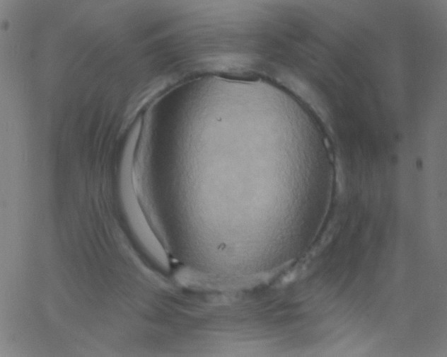 X0000067390105200604281852