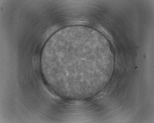 X0000067390107200604281852