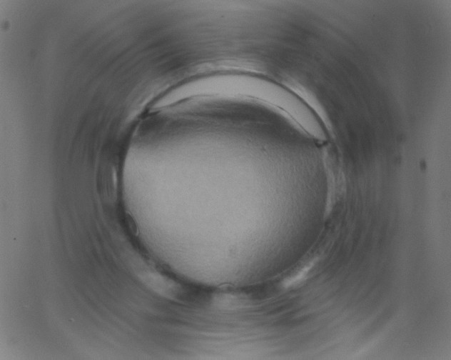 X0000067390109200604281852