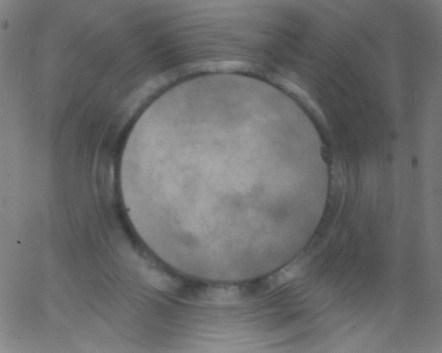 X0000067390110200604281852