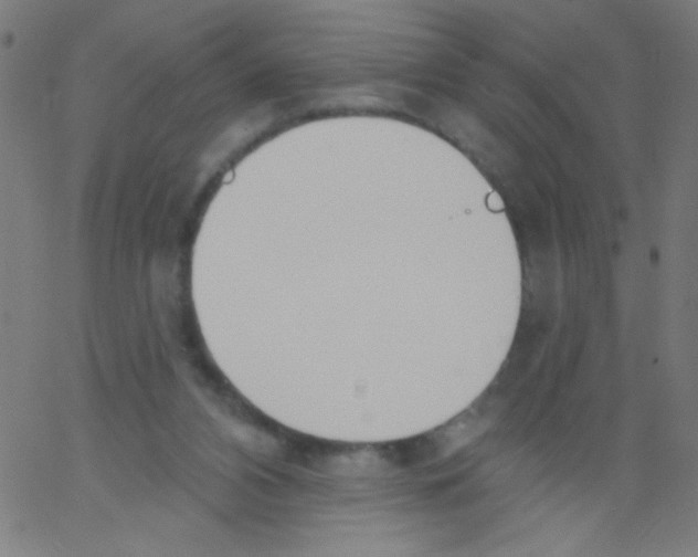 X0000067390112200604281852