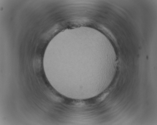 X0000067390113200604281852