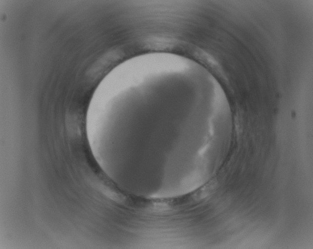 X0000067390114200604281852